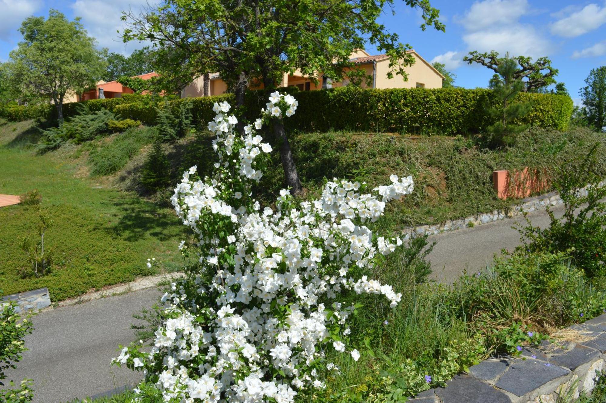 Le Moulin Villa Vallon-Pont-dʼArc Kültér fotó
